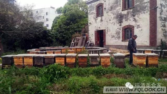 福清依巴扎根深山几十载，只为酿造原生纯蜜