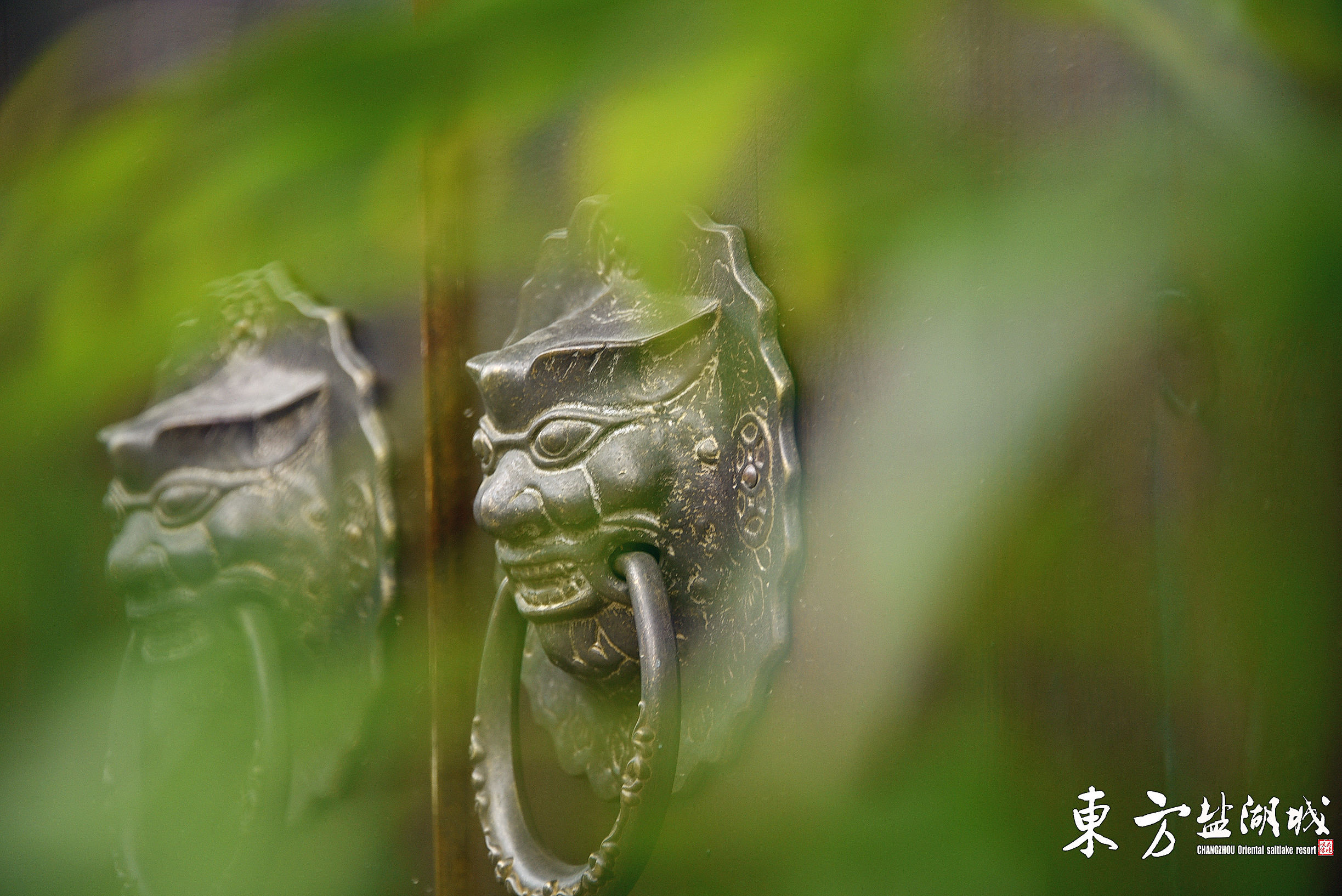 梦入桃花源现代版,梦入桃花源完全版