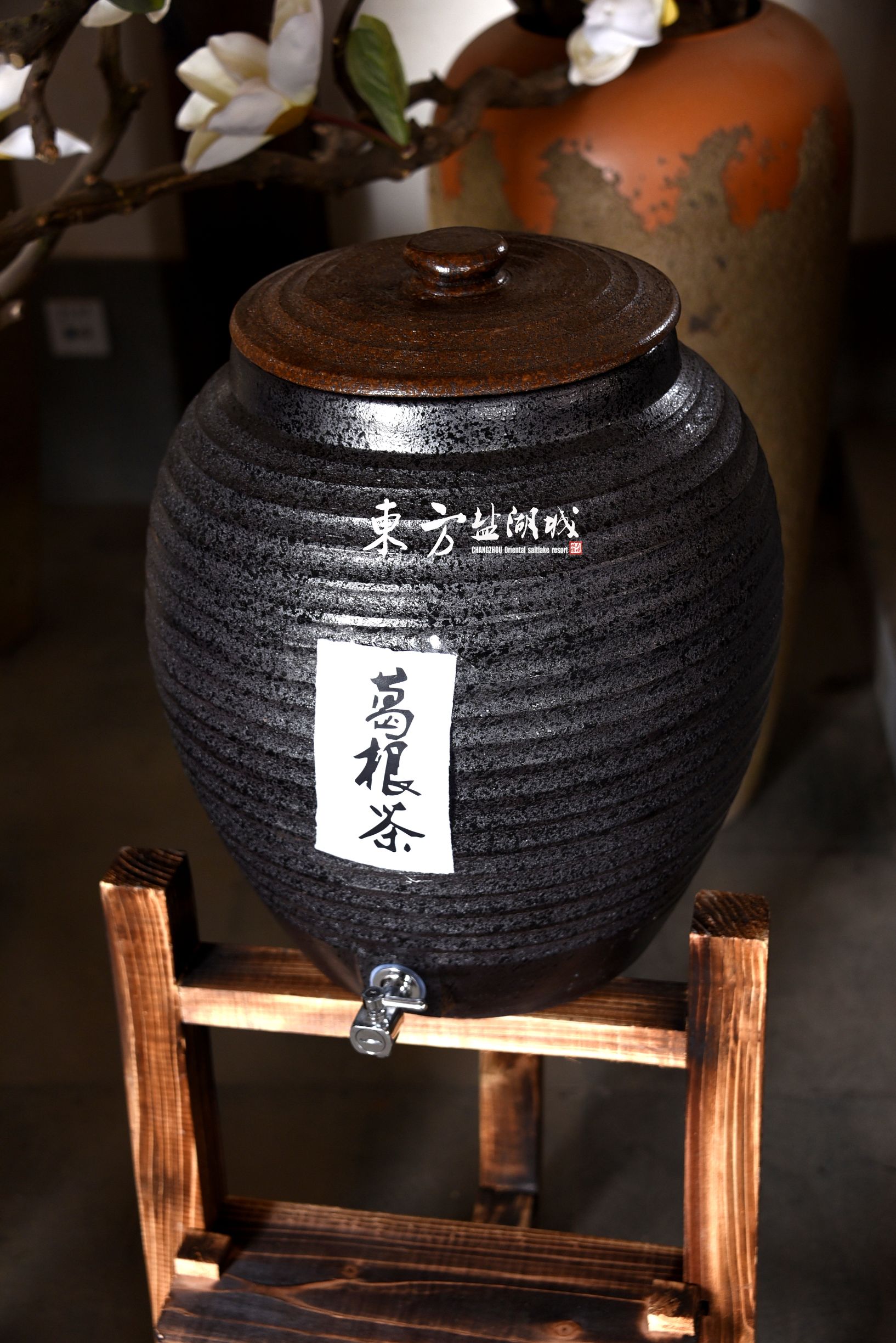 梦入桃花源现代版,梦入桃花源完全版