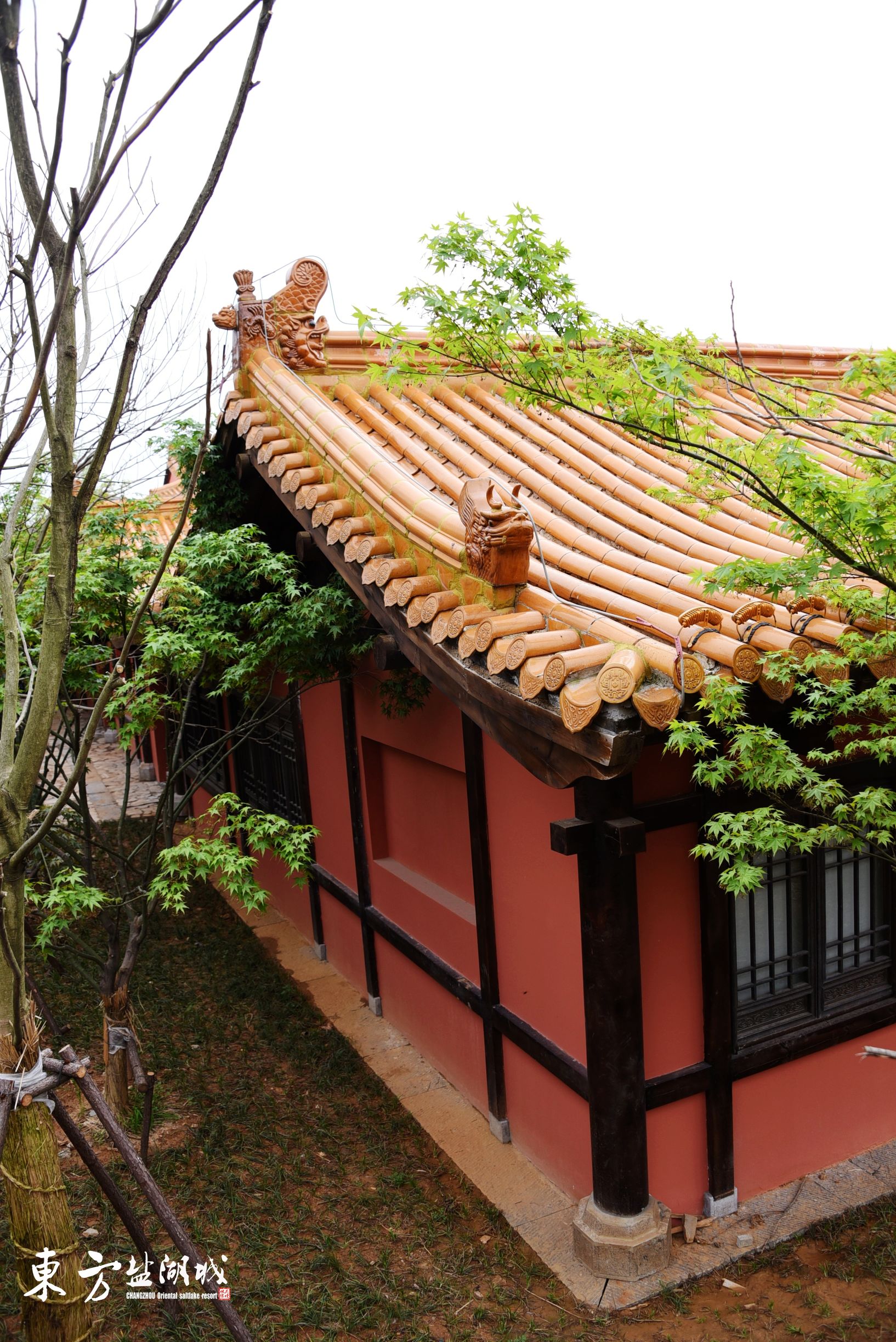 梦入桃花源现代版,梦入桃花源完全版