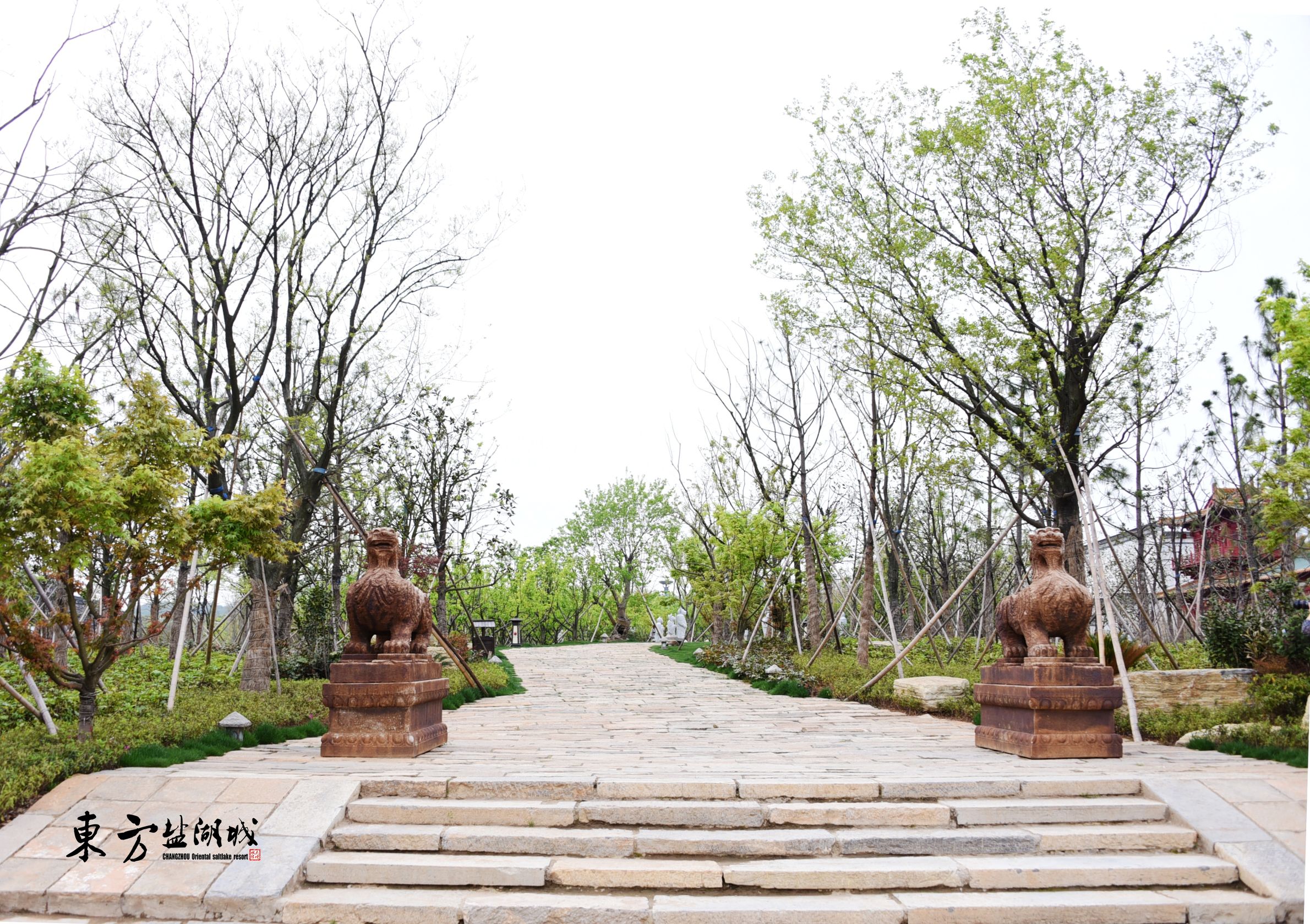 梦入桃花源现代版,梦入桃花源完全版