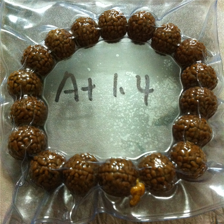 真正的金刚菩提有什么特点,金刚菩提哪里产的最好最正宗