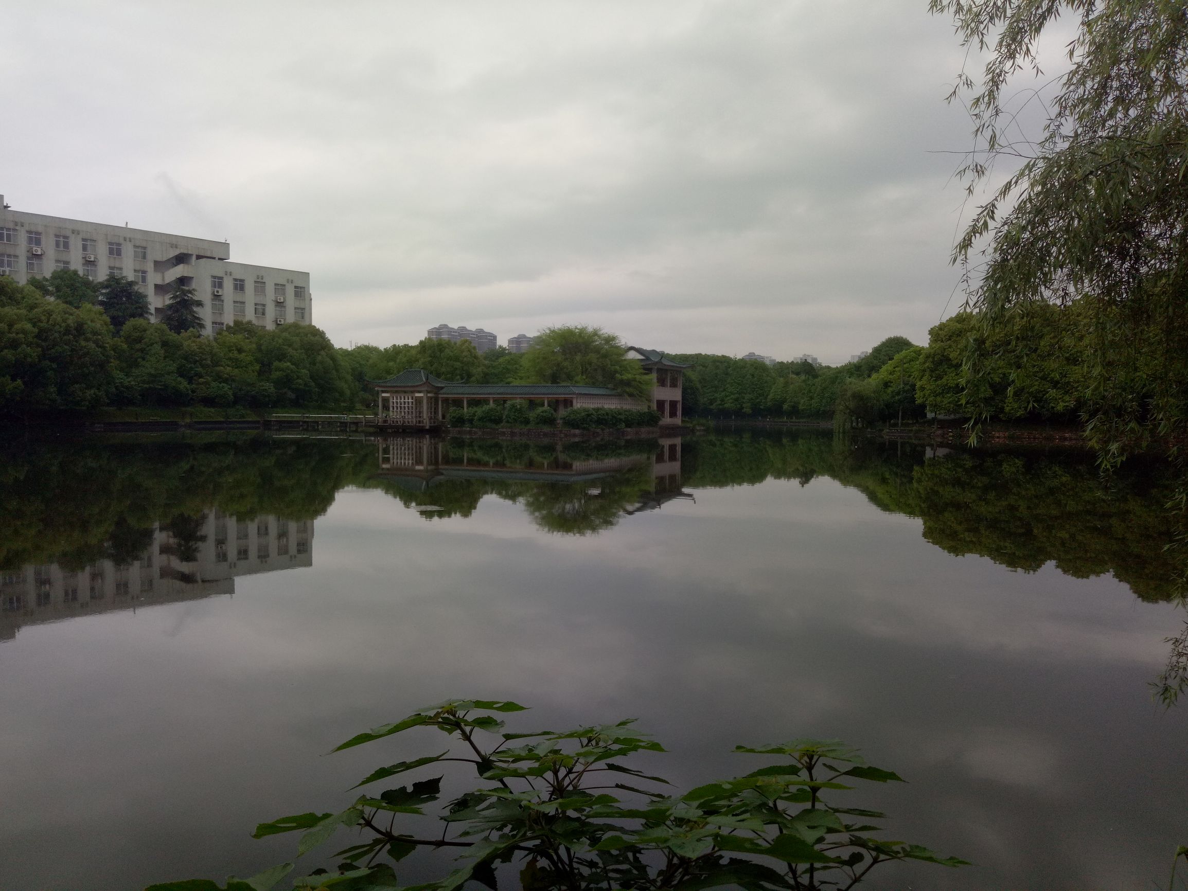 杨幂李易峰代言的手机oppo,李易峰代言oppo手机现在的价格