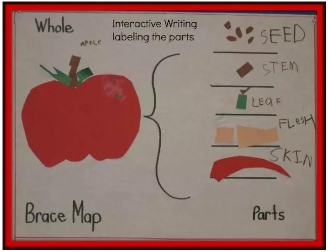 给孩子的思维导图课合适多大孩子,给孩子的思维导图绘本
