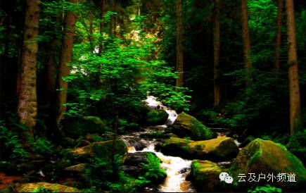 哪种溯溪鞋不打滑,溯溪鞋怎么买最便宜