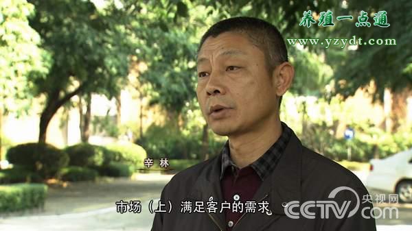 大棚养殖泥鳅一亩利润多少,高收益泥鳅养殖基地