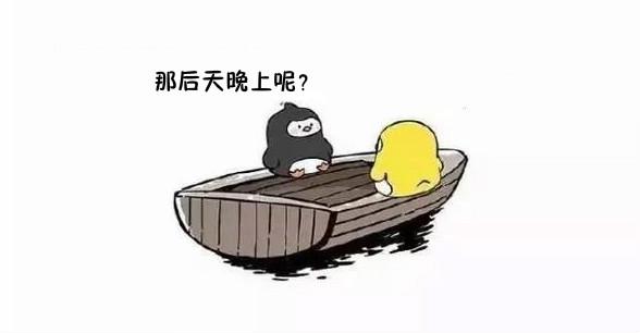 友谊的小船说翻就翻舞台剧,友谊的小船说翻就翻猫和狗