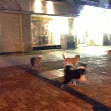 冰河追凶白夜追凶,冰河追凶有意思吗