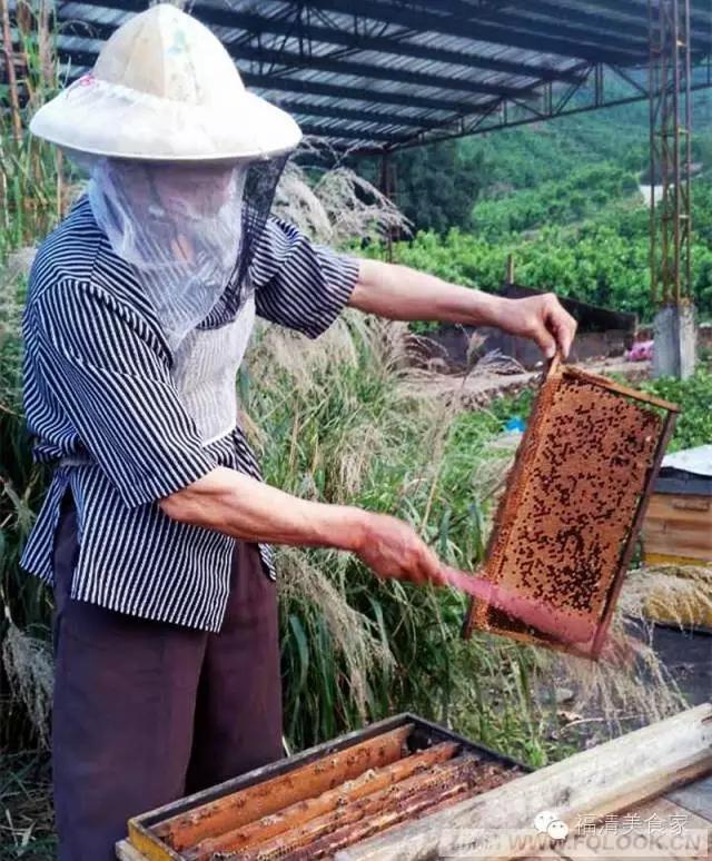 福清依巴扎根深山几十载，只为酿造原生纯蜜