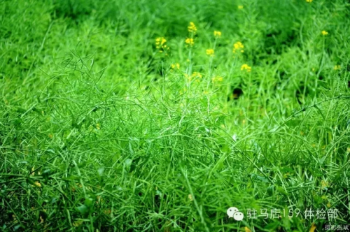 驻马店159是私人医院吗,驻马店159医院为啥改名