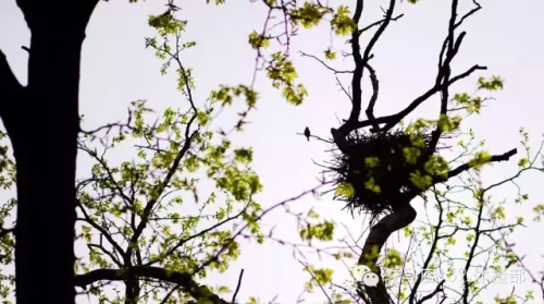 驻马店159是私人医院吗,驻马店159医院为啥改名