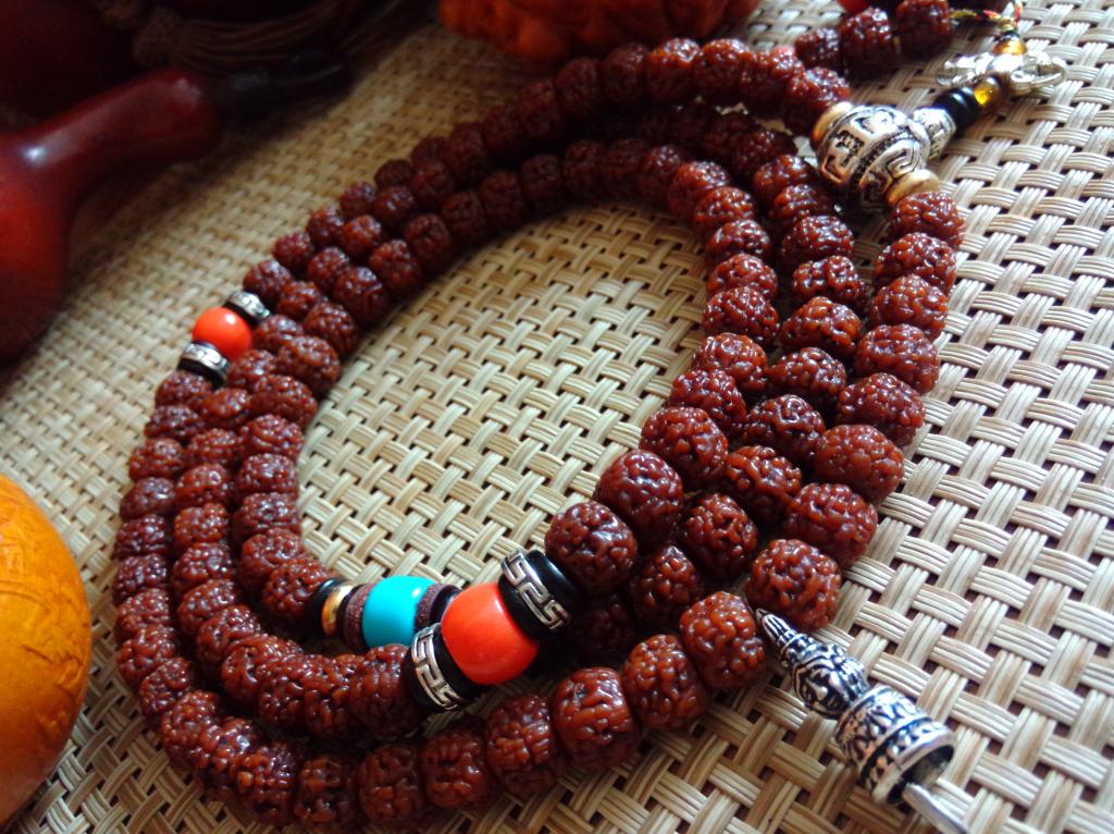 真正的金刚菩提有什么特点,金刚菩提哪里产的最好最正宗