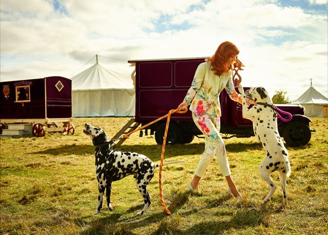 时尚潮流端庄优雅知性,tedbaker泡泡袖连衣裙