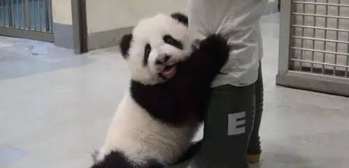 微博微信朋友圈差别太大,微信与facebook的区别