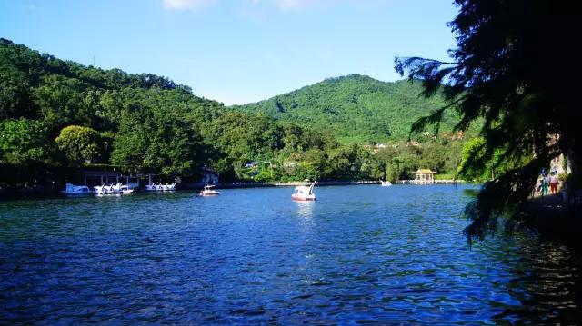 深圳看海公园推荐,深圳哪个湖最好玩又漂亮