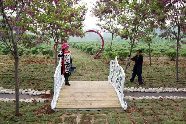 赏玫瑰摘西瓜这个假期有福喽