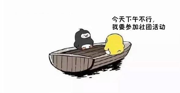 友谊的小船说翻就翻舞台剧,友谊的小船说翻就翻猫和狗