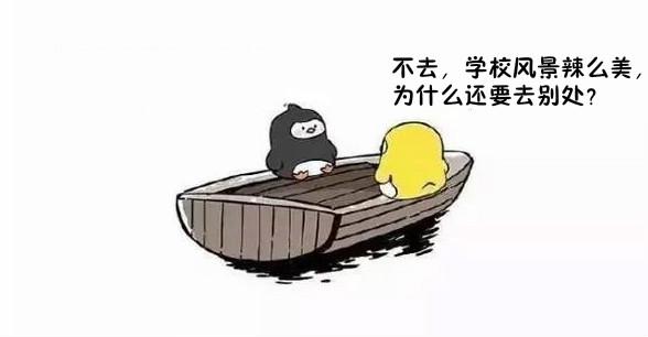 友谊的小船说翻就翻舞台剧,友谊的小船说翻就翻猫和狗