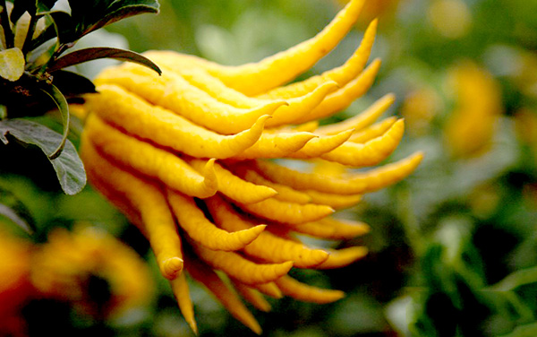 月经病调理经验,紧张害怕焦虑恐惧中医怎么调理