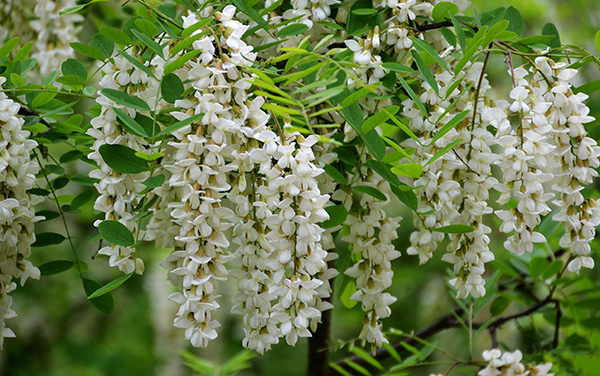 月经病调理经验,紧张害怕焦虑恐惧中医怎么调理