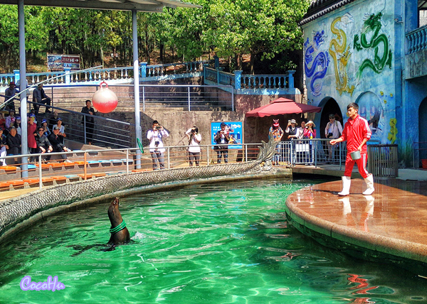 中南百草动物园,中南百草园萌宠乐园