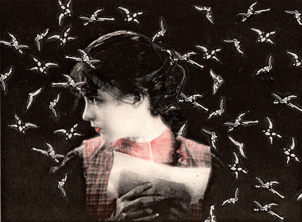 豆瓣年度日历,豆瓣日记2017