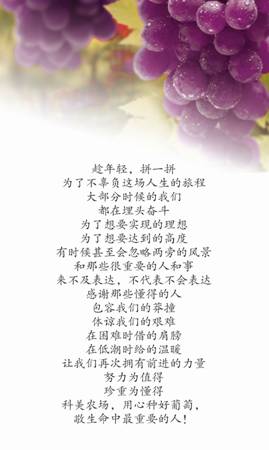 四川到福建怎么玩,四川到台湾怎么去