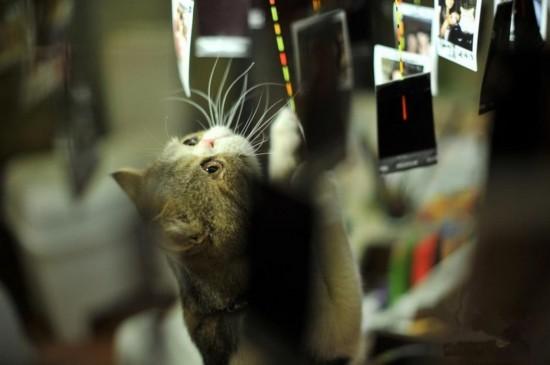 酒店试睡员合适干什么,如何成为一名酒店试睡员