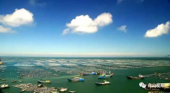 生活在外的舟山人，你们过得好吗？