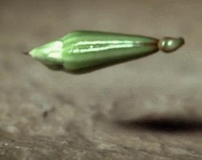 超导磁悬浮的奥秘,超导磁悬浮动画演示