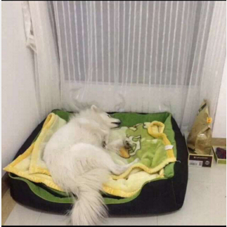 农村平房欧式土豪装修,欧式简约装修实拍