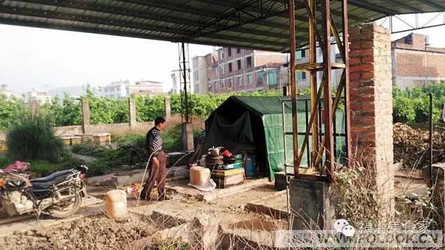 福清依巴扎根深山几十载，只为酿造原生纯蜜