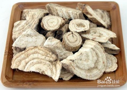 处方中的葛根是柴葛还是粉葛 (粉葛根与柴葛药效有什么区别)