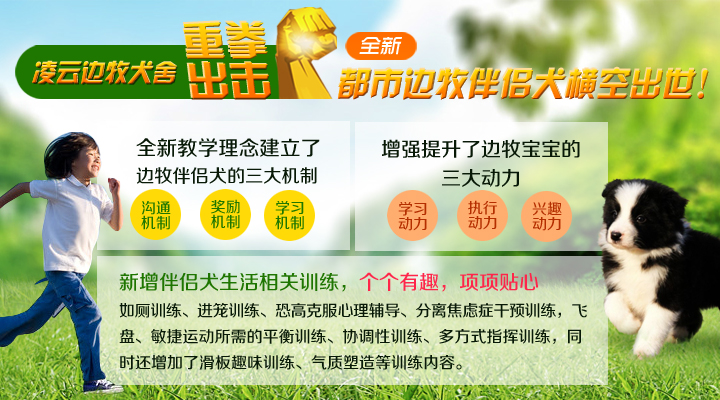 边牧健康但是经常拉稀,刚满月的边牧拉肚子怎么办