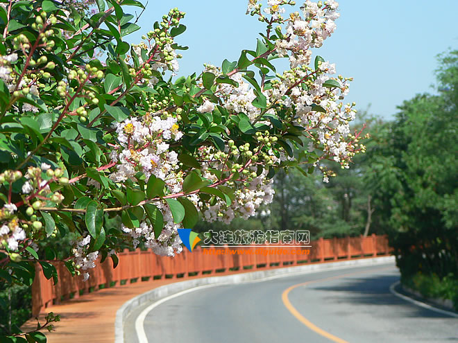 大连滨海路木栈道旅游攻略,航拍大连滨海路木栈道视频