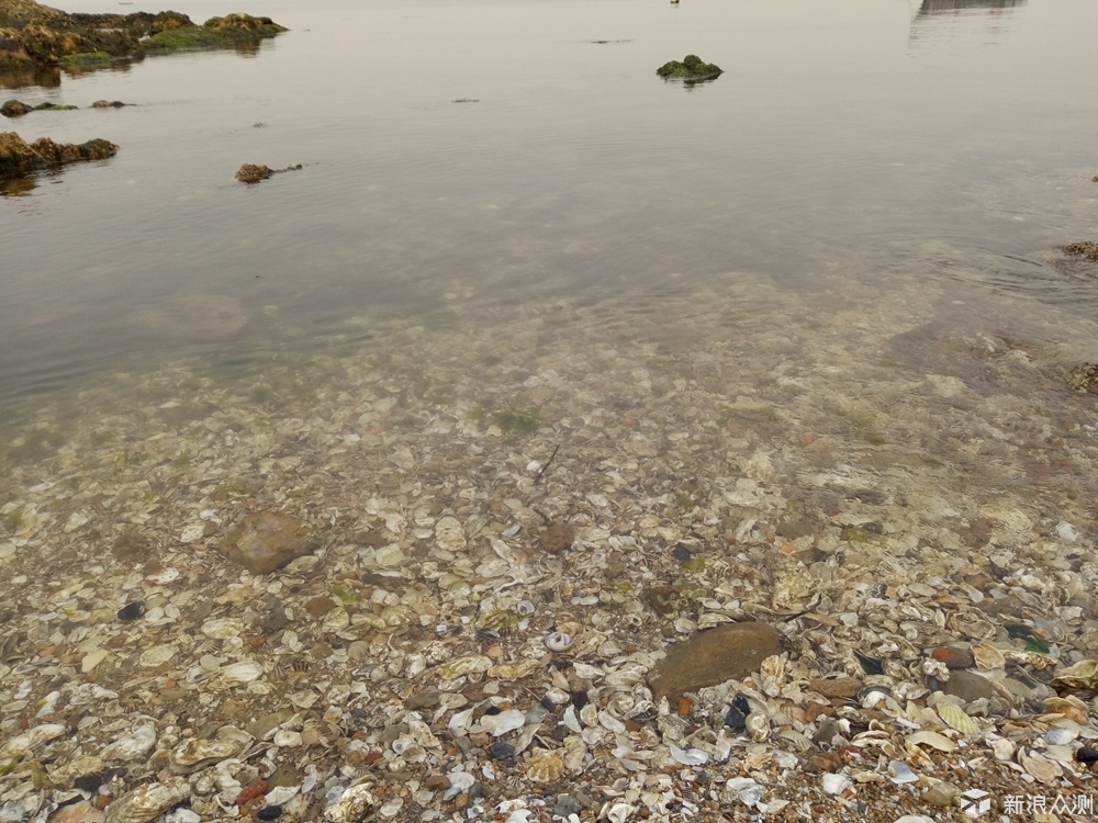 oppor9哪款最好用,oppor9都有特殊什么功能