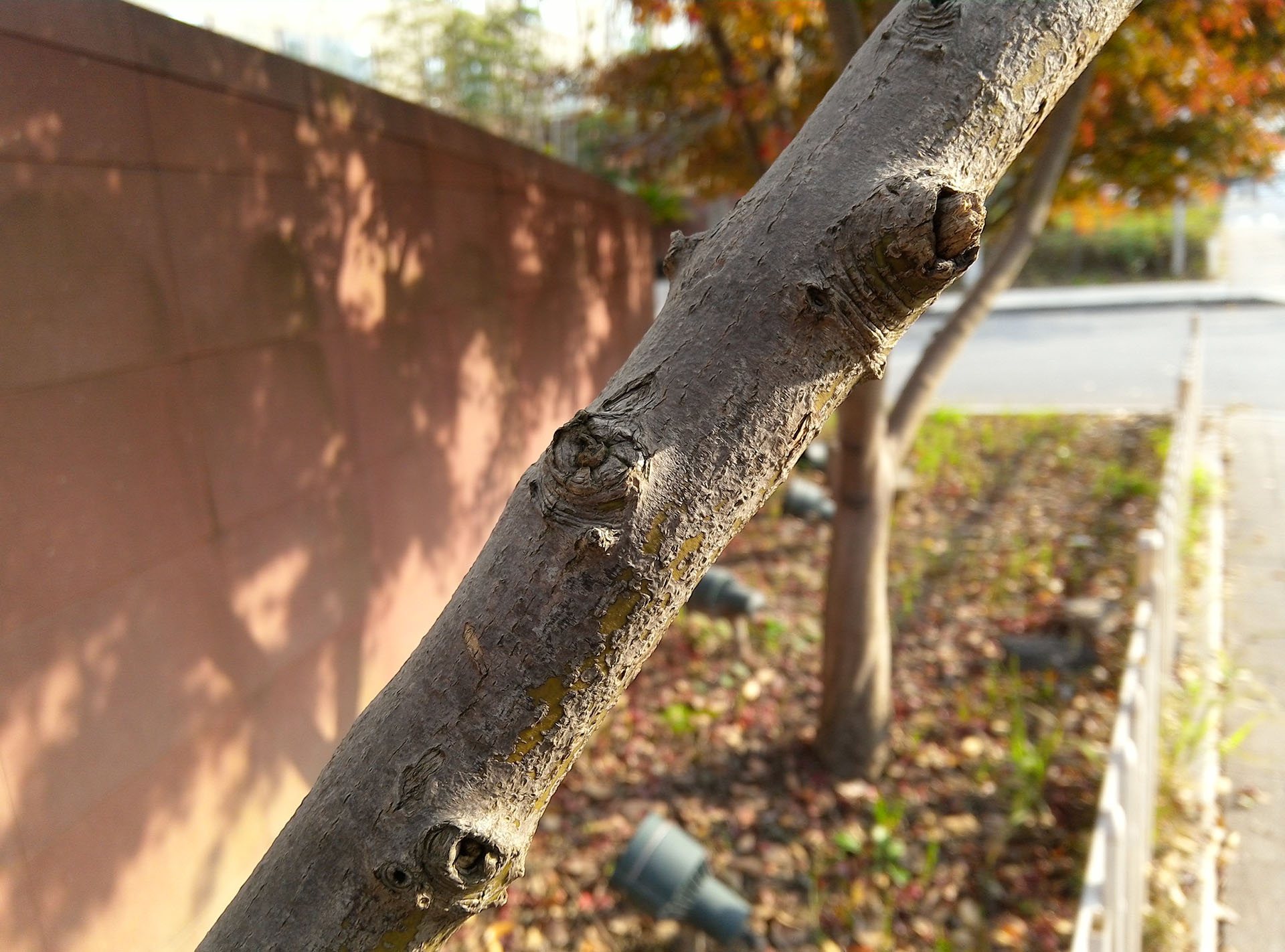 联想yogatab,联想平板yogatab3plus