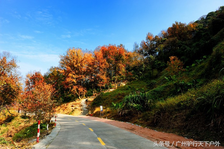 从化石门公园赏红叶旅游团,从化石门森林公园赏梅花路线