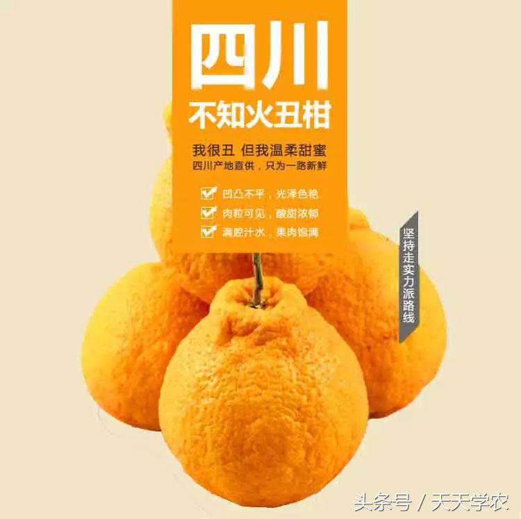丑柑现在怎么样,真正的丑柑