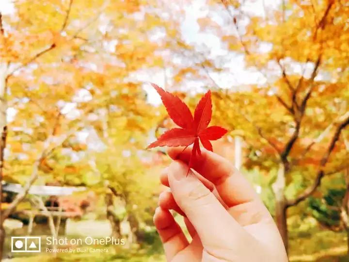 干货能够做不,干货主播好不好干