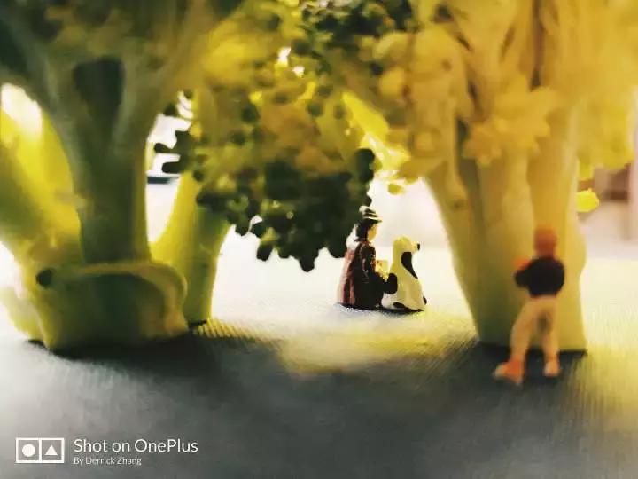 干货能够做不,干货主播好不好干