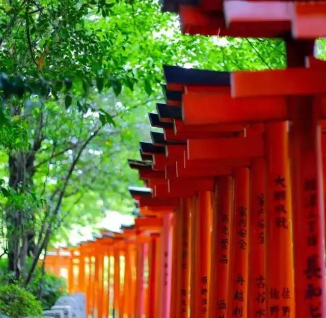 2018年住进日本の百年隐世桃源，尝尽独具特色国民料理尊享生活！