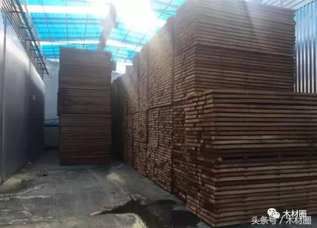 各国木材资源总量排名,各国木材市场现状