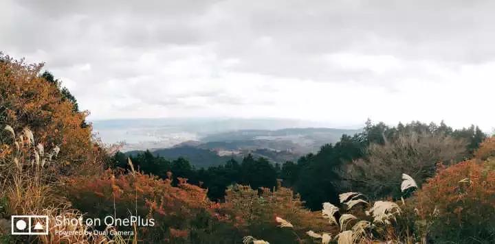 干货能够做不,干货主播好不好干