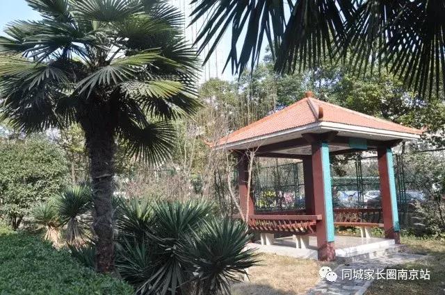 郑外好还是秦外好,秦外郑外到底谁更胜