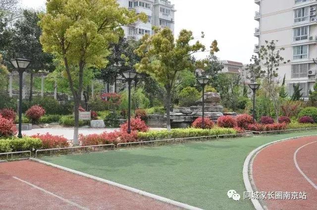 郑外好还是秦外好,秦外郑外到底谁更胜