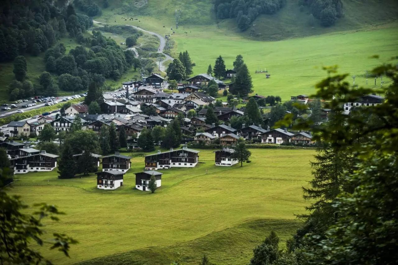 丁振东简介,南充市嘉陵区丁振东