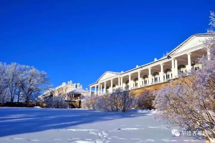 带娃冬天看雪最好的地方,冬季带孩子玩雪必备