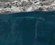 干货能够做不,干货主播好不好干