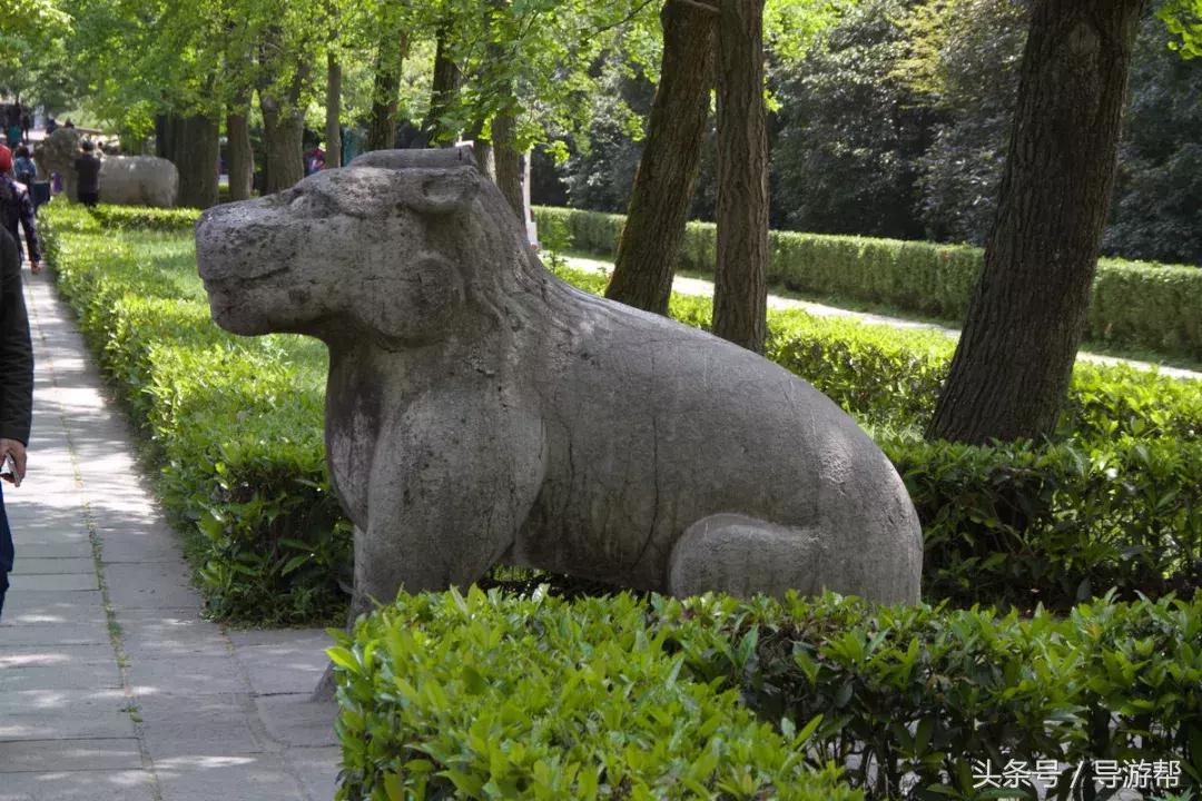 南京明孝陵600岁神道,南京明孝陵讲解视频完全版